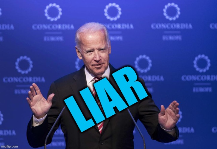 Liar Biden | LIAR | image tagged in joe biden,liar | made w/ Imgflip meme maker