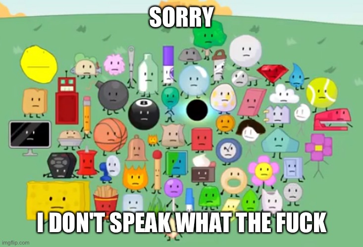 damn bro you got the whole contestants laughing | SORRY I DON'T SPEAK WHAT THE FUCK | image tagged in damn bro you got the whole contestants laughing | made w/ Imgflip meme maker