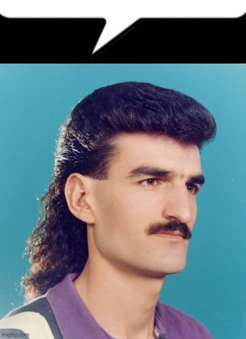 image tagged in text box r,mullet | made w/ Imgflip meme maker