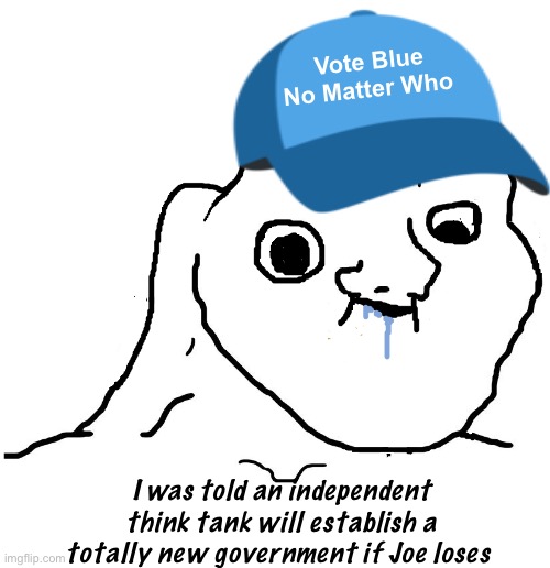 It doesn’t work like that | Vote Blue No Matter Who; I was told an independent think tank will establish a totally new government if Joe loses | image tagged in brainlet stupid,politics lol,memes | made w/ Imgflip meme maker