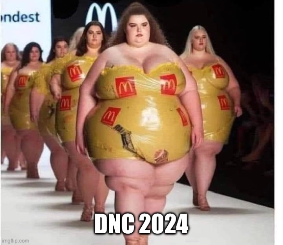 Exporting big | DNC 2024 | image tagged in exporting big | made w/ Imgflip meme maker