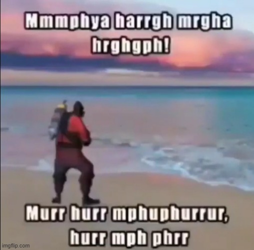 pyro at the beach | image tagged in pyro at the beach | made w/ Imgflip meme maker
