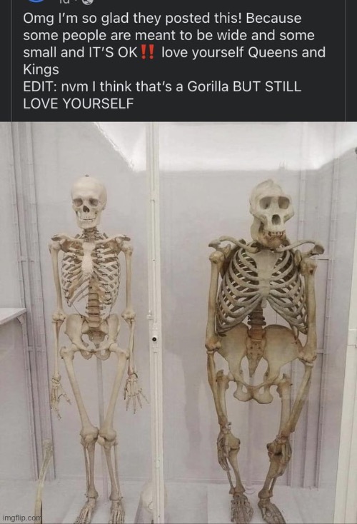 At least they’re aware of the what animal the skeleton on the right is | made w/ Imgflip meme maker
