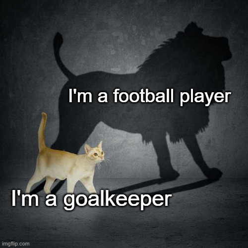 I hate it when I'm a goalkeeper | I'm a football player; I'm a goalkeeper | image tagged in cat with lion shadow,soccer,football,goalkeeper,sports,athletes | made w/ Imgflip meme maker