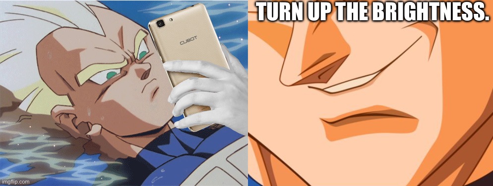 TURN UP THE BRIGHTNESS. | image tagged in vegeta looking at p h o n e,vegeta evil smile | made w/ Imgflip meme maker