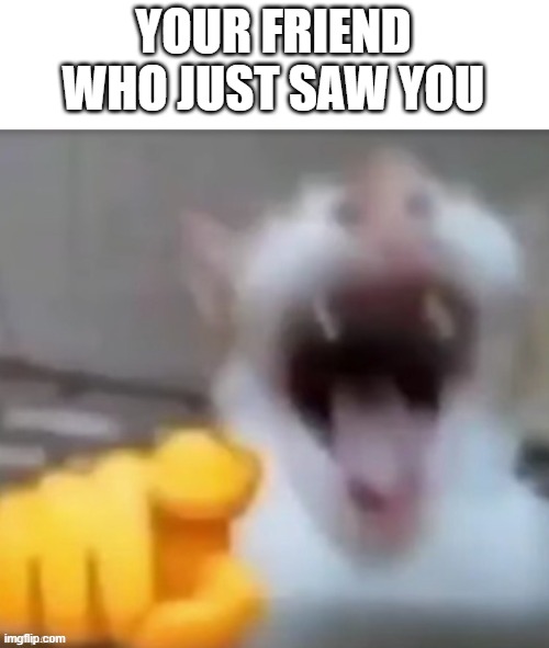 YOUR FRIEND WHO JUST SAW YOU | made w/ Imgflip meme maker