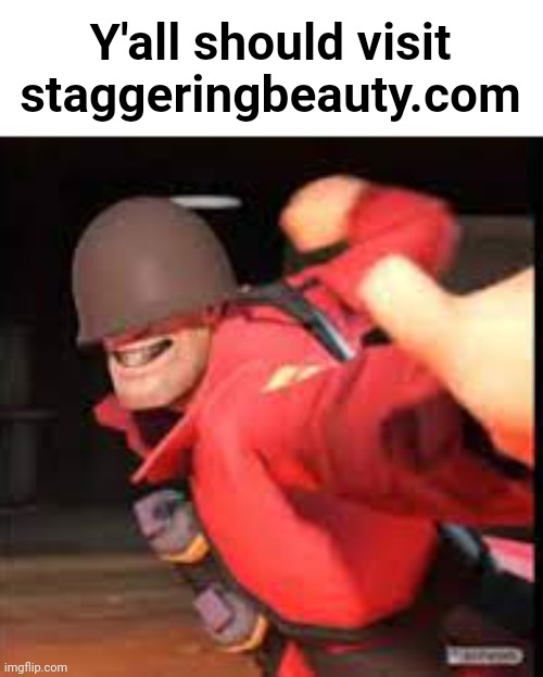 staggeringbeauty.com | Y'all should visit staggeringbeauty.com | image tagged in soldier gaming | made w/ Imgflip meme maker
