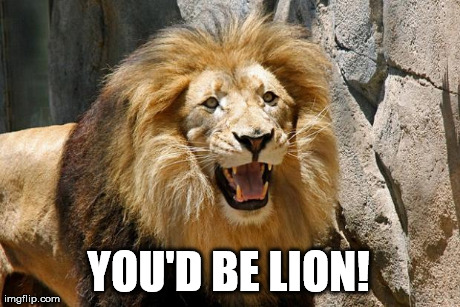 YOU'D BE LION! | image tagged in lion | made w/ Imgflip meme maker