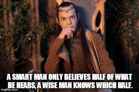 A smart man  | A SMART MAN ONLY BELIEVES HALF OF WHAT HE HEARS, A WISE MAN KNOWS WHICH HALF. | image tagged in gifs,memes,lord of the rings | made w/ Imgflip meme maker