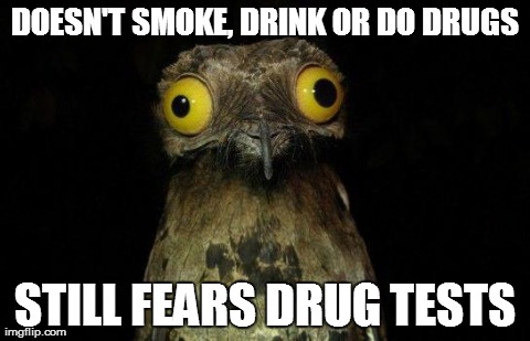 Weird Stuff I Do Potoo Meme | DOESN'T SMOKE, DRINK OR DO DRUGS STILL FEARS DRUG TESTS | image tagged in crazy eyed bird,AdviceAnimals | made w/ Imgflip meme maker