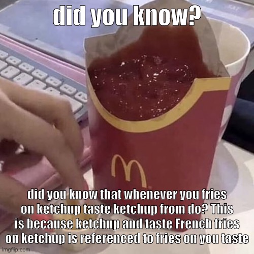 Ketchup with a side of fries | did you know? did you know that whenever you fries on ketchup taste ketchup from do? This is because ketchup and taste French fries on ketchup is referenced to fries on you taste | image tagged in ketchup with a side of fries | made w/ Imgflip meme maker