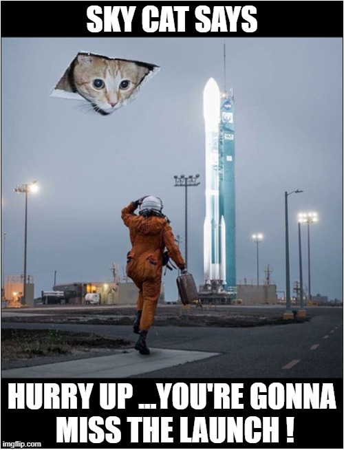 He's Watching All Of Us ! | SKY CAT SAYS; HURRY UP ...YOU'RE GONNA
 MISS THE LAUNCH ! | image tagged in cats,sky cat,hurry up,rocket launch | made w/ Imgflip meme maker