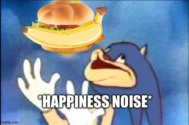 Sonkisfast happiness | image tagged in sonkisfast happiness | made w/ Imgflip meme maker