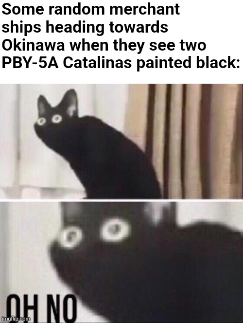 Mission 11 (World at War) | Some random merchant ships heading towards Okinawa when they see two PBY-5A Catalinas painted black: | image tagged in oh no cat,call of duty,memes | made w/ Imgflip meme maker