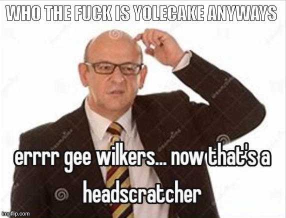 whuh | WHO THE FUCK IS YOLECAKE ANYWAYS | image tagged in golly i'm stumped | made w/ Imgflip meme maker