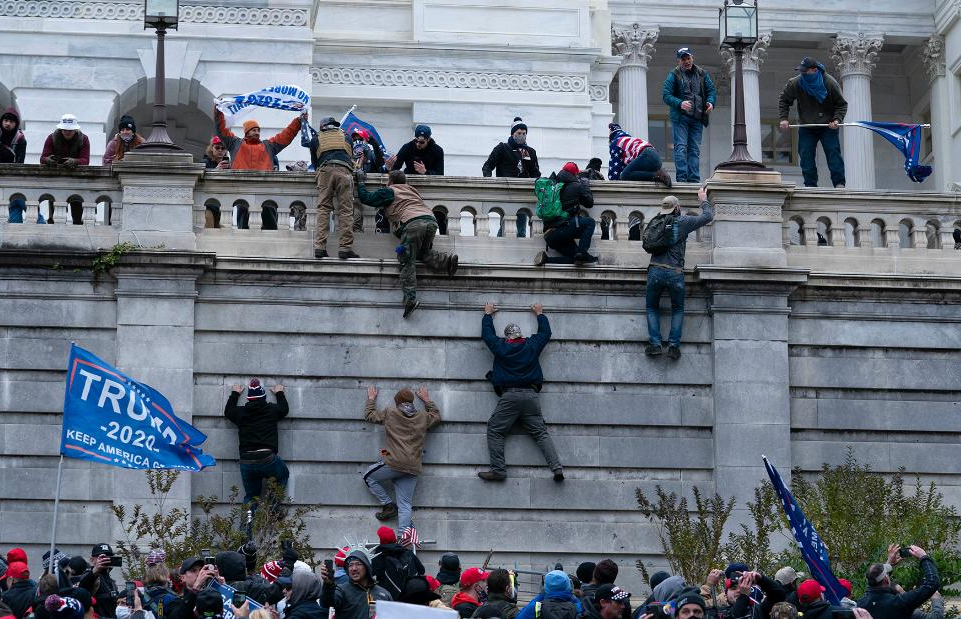 capitol riot MAGAts cockroaches walls Trump treason 1/6 Blank Meme Template