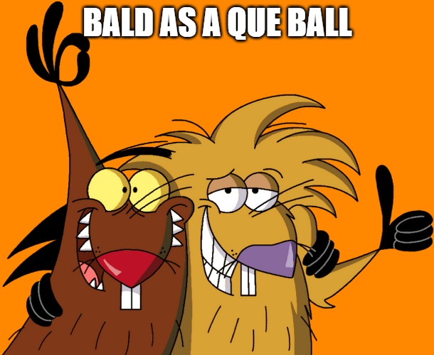 Beavers | BALD AS A QUE BALL | image tagged in beavers | made w/ Imgflip meme maker