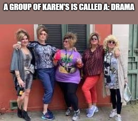 A group of karens | A GROUP OF KAREN'S IS CALLED A: DRAMA | image tagged in drama,karens,kewlew | made w/ Imgflip meme maker