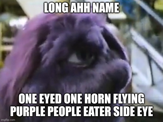 Uhh | LONG AHH NAME; ONE EYED ONE HORN FLYING PURPLE PEOPLE EATER SIDE EYE | image tagged in stop reading the tags | made w/ Imgflip meme maker