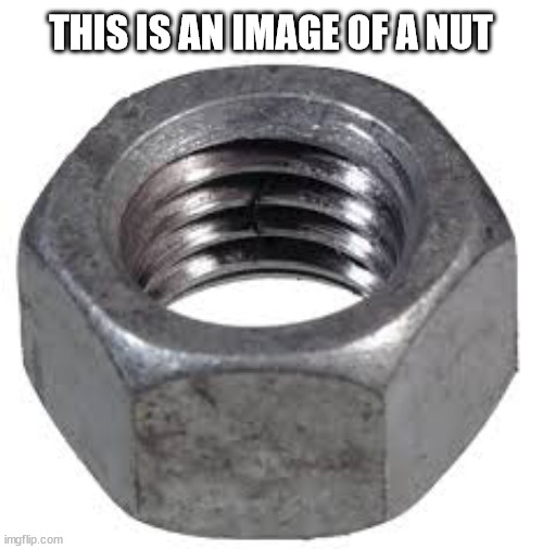 NOT A DEEP FAKE | THIS IS AN IMAGE OF A NUT | image tagged in shallow truth,no ai,not misinformation,not disinformation | made w/ Imgflip meme maker