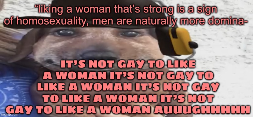 chucklenuts | IT’S NOT GAY TO LIKE A WOMAN IT’S NOT GAY TO LIKE A WOMAN IT’S NOT GAY TO LIKE A WOMAN IT’S NOT GAY TO LIKE A WOMAN AUUUGHHHHH; “liking a woman that’s strong is a sign of homosexuality, men are naturally more domina- | image tagged in chucklenuts | made w/ Imgflip meme maker