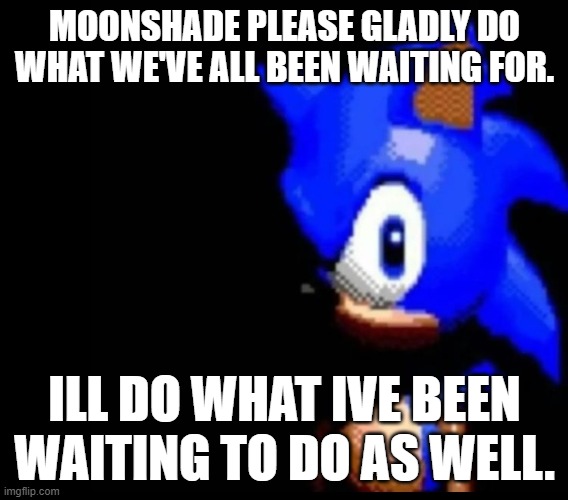 Sonic stares | MOONSHADE PLEASE GLADLY DO WHAT WE'VE ALL BEEN WAITING FOR. ILL DO WHAT IVE BEEN WAITING TO DO AS WELL. | image tagged in sonic stares | made w/ Imgflip meme maker