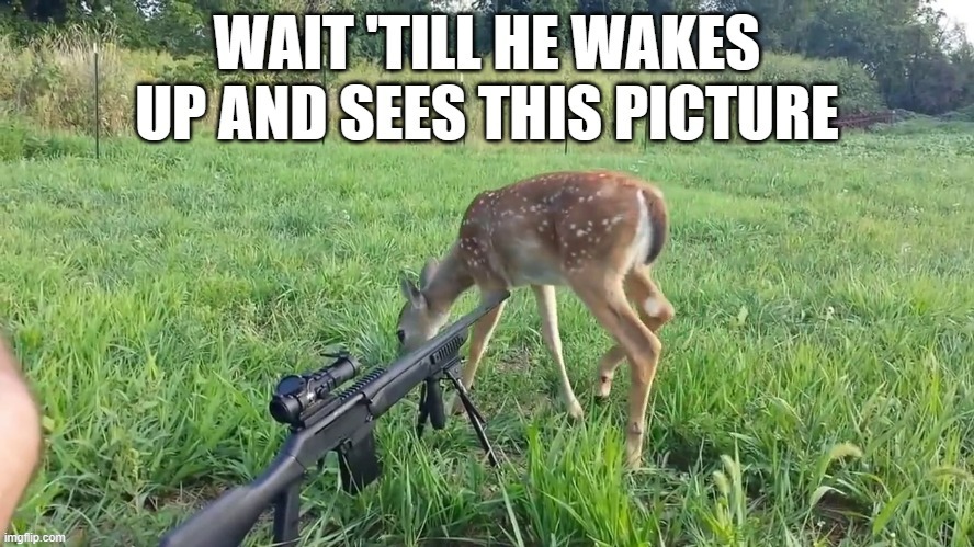 memes by Brad - A deer leaves a picture for the hunter - humor | image tagged in funny,sports,hunting,funny meme,humor,deer | made w/ Imgflip meme maker