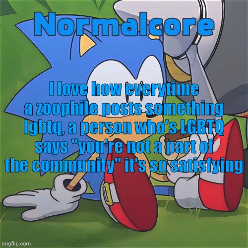 Random Sonic Template (REMAKE) | I love how everytime a zoophile posts something lgbtq, a person who's LGBTQ says "you're not a part of the community" it's so satisfying | image tagged in random sonic template remake | made w/ Imgflip meme maker