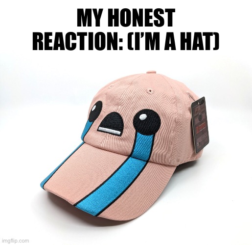 MY HONEST REACTION: (I’M A HAT) | made w/ Imgflip meme maker