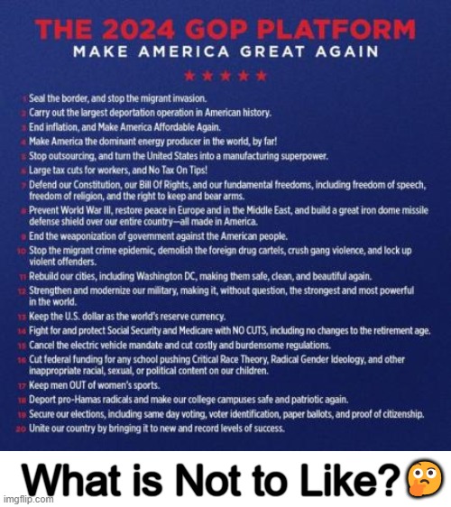 Americans Should ALL Agree, Bububut Then There Are Democrats! | 🤔; What is Not to Like? | image tagged in politics,make america great again,maga,platform,america,democrats are demons | made w/ Imgflip meme maker