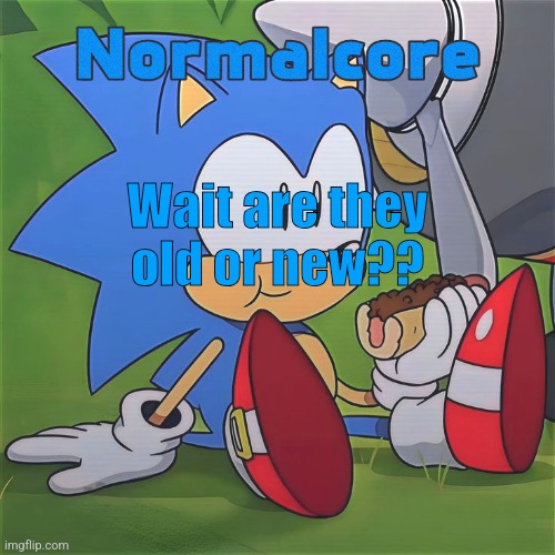 Random Sonic Template (REMAKE) | Wait are they old or new?? | image tagged in random sonic template remake | made w/ Imgflip meme maker