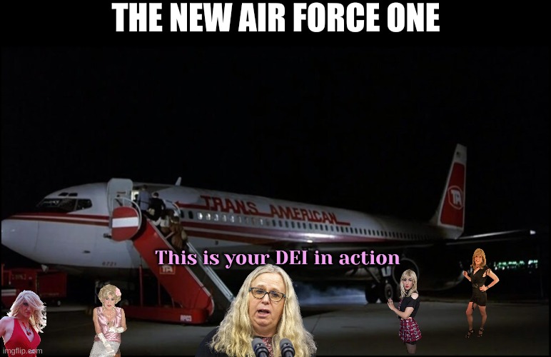 The new Air Force One is bound to crash and burn | THE NEW AIR FORCE ONE; This is your DEI in action | image tagged in airplane microphone | made w/ Imgflip meme maker