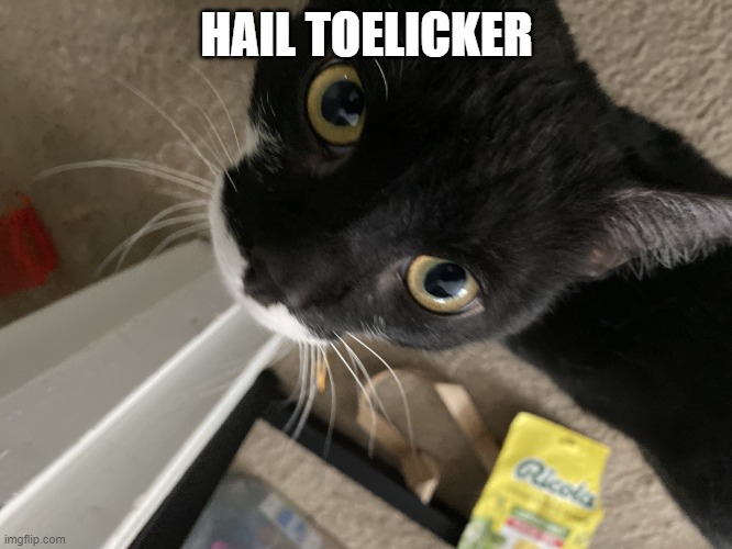 SILLY | HAIL TOELICKER | image tagged in silly | made w/ Imgflip meme maker