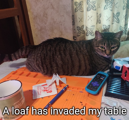 Soon as I posted this she left | A loaf has invaded my table | made w/ Imgflip meme maker