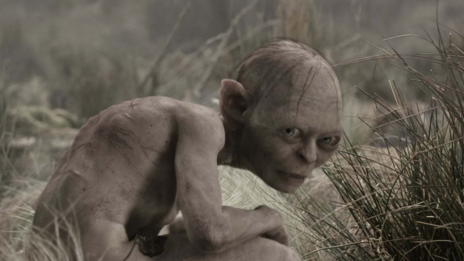 Gollum 2024 Blank Meme Template