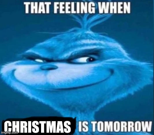 that feeling when x is tomorrow | CHRISTMAS | image tagged in that feeling when x is tomorrow | made w/ Imgflip meme maker