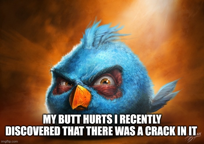 Crappy pun  ? | MY BUTT HURTS I RECENTLY DISCOVERED THAT THERE WAS A CRACK IN IT | image tagged in angry birds blue,poop,butt,spammedbytags,funny | made w/ Imgflip meme maker