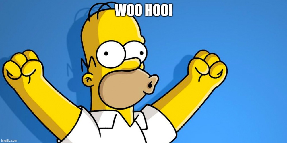 Woo Hoo | WOO HOO! | image tagged in woo hoo | made w/ Imgflip meme maker