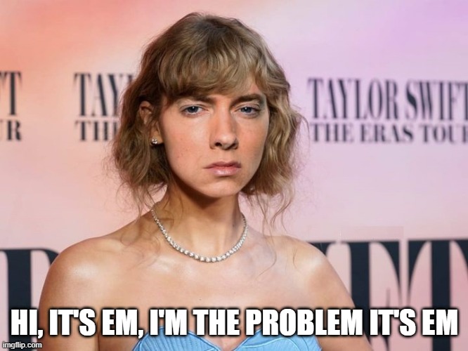Taylor Em | HI, IT'S EM, I'M THE PROBLEM IT'S EM | image tagged in music,eminem,taylor swift | made w/ Imgflip meme maker