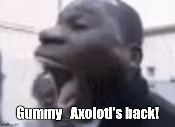 AAAAAAAAAAAAAAAAAAAA | Gummy_Axolotl's back! | image tagged in aaaaaaaaaaaaaaaaaaaa | made w/ Imgflip meme maker