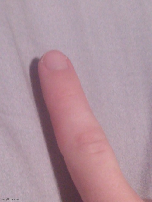 right hand pointer finger reveal (as promised) | made w/ Imgflip meme maker