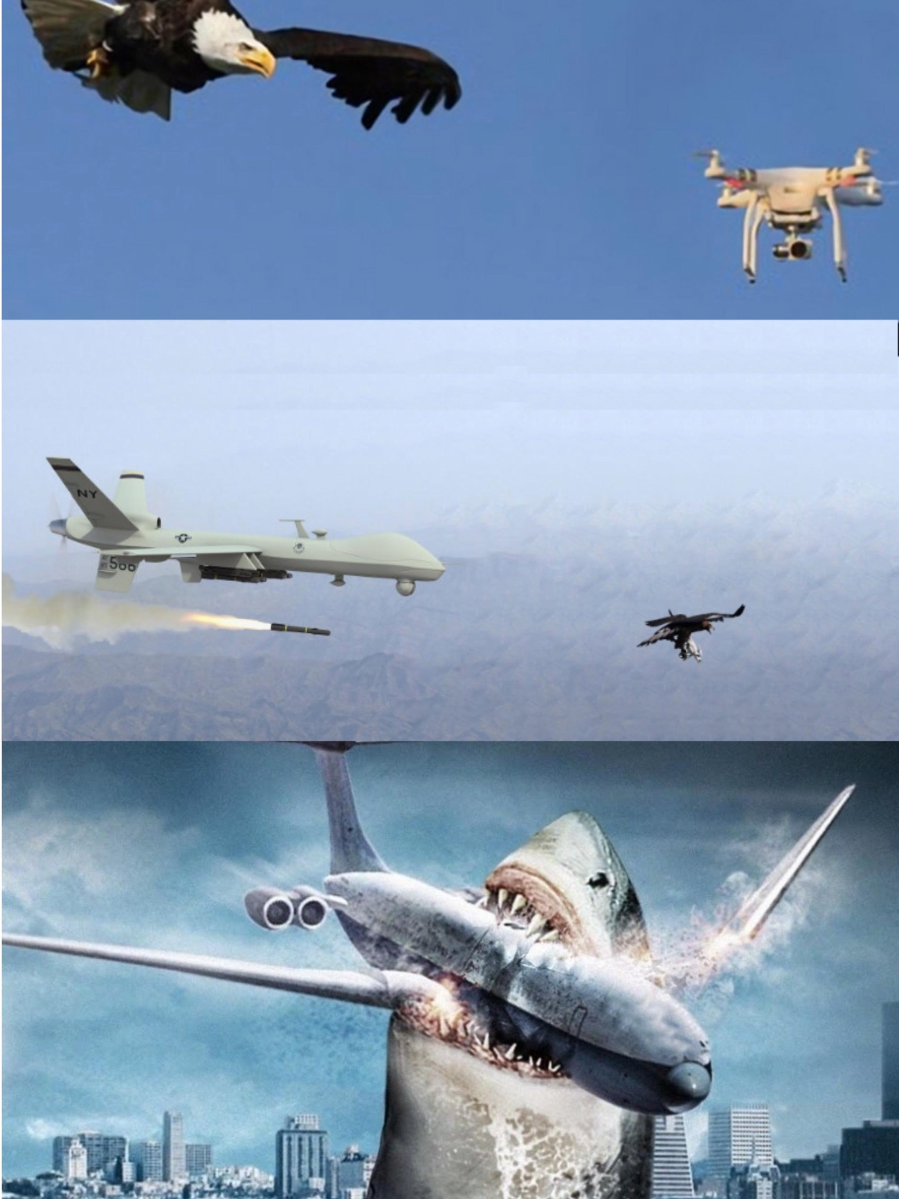 High Quality Drone < Bird <Plane < Shark Blank Meme Template