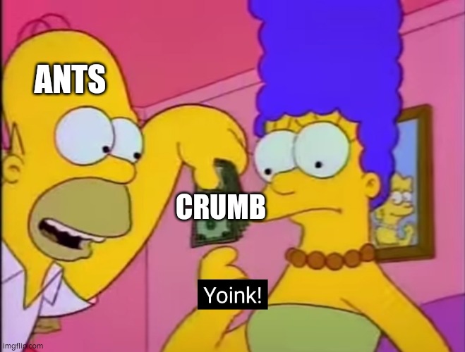Yoink! | ANTS CRUMB | image tagged in yoink | made w/ Imgflip meme maker