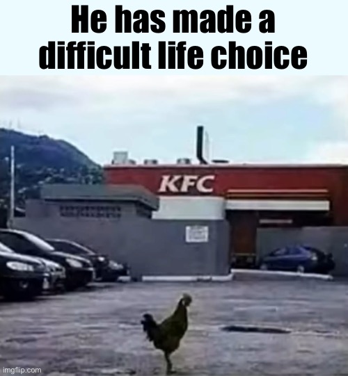 Chicken | He has made a difficult life choice | made w/ Imgflip meme maker