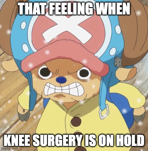 Angry Chopper | THAT FEELING WHEN; KNEE SURGERY IS ON HOLD | image tagged in angry chopper | made w/ Imgflip meme maker