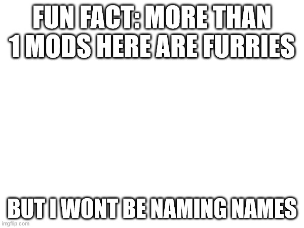 FUN FACT: MORE THAN 1 MODS HERE ARE FURRIES; BUT I WONT BE NAMING NAMES | made w/ Imgflip meme maker