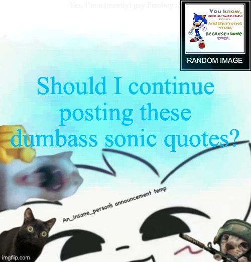 My lil announcement | Should I continue posting these dumbass sonic quotes? | image tagged in my lil announcement | made w/ Imgflip meme maker