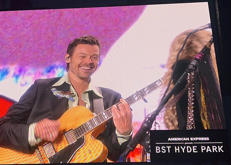 High Quality HARRY STYLES AND STEVIE NICKS 2024 Blank Meme Template