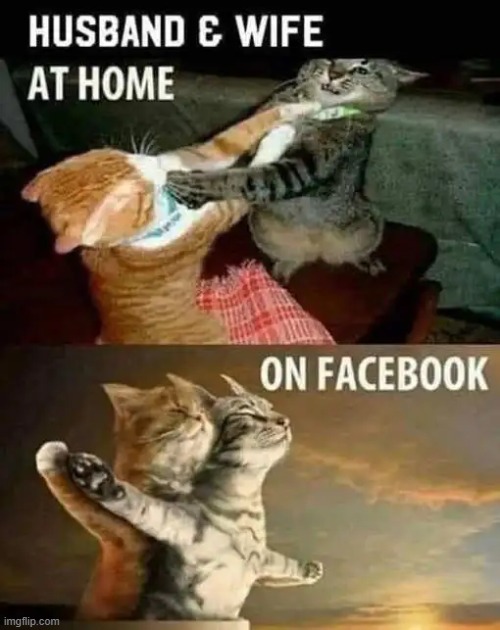 Fakebook | image tagged in expectation vs reality,alternate reality,real,fake,fake people,funny | made w/ Imgflip meme maker