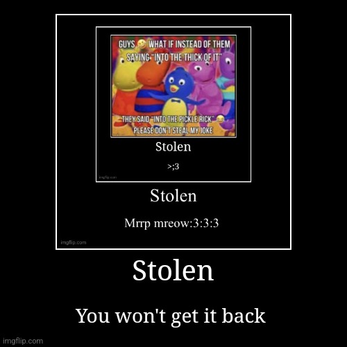 Stolen | You won't get it back | image tagged in funny,demotivationals | made w/ Imgflip demotivational maker